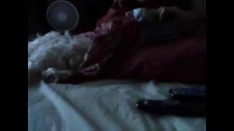 Snapshot of bigbenidick1 chatting on 14, 3, 2026 BB online show from 14, 3, 2026