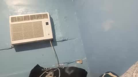 bigblu659 online show from 4, 1, 2025