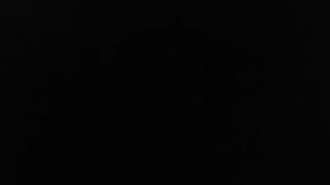 Jinn online show from 24, 12, 2024