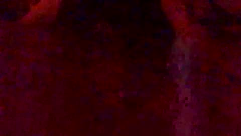 Hunny online show from 7, 2, 2026