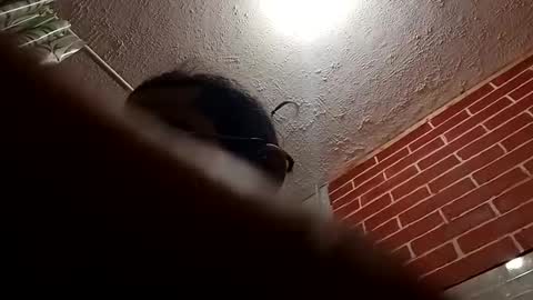 Snapshot of bigdaddy1231995 chatting on 28, 10, 2025 BigDaddykodack online show from 28, 10, 2025