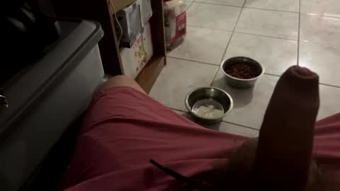 Snapshot of bigdaddy24569 chatting on 25, 3, 2026 bigdaddy24569 online show from 25, 3, 2026