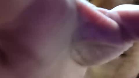 bigdickdaddy7201979564868 online show from 10, 6, 2026