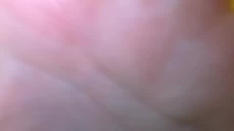 bigdickitalian137 online show from 29, 9, 2025