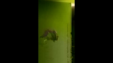 bigdog9thick online show from 6, 4, 2026