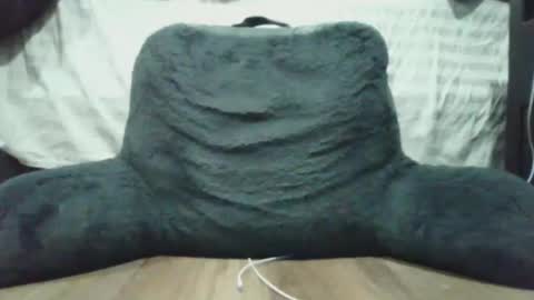 bigdyllpickle online show from 8, 1, 2026