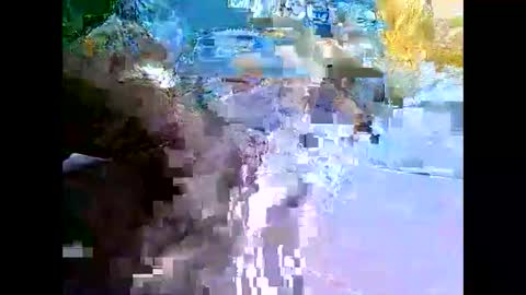 Mr Alpha online show from 11, 12, 2024