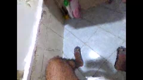 bighdasehzada online show from 19, 4, 2026