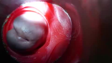 Snapshot of bigmoneycorey chatting on 10, 3, 2026 bigmoneycorey online show from 10, 3, 2026