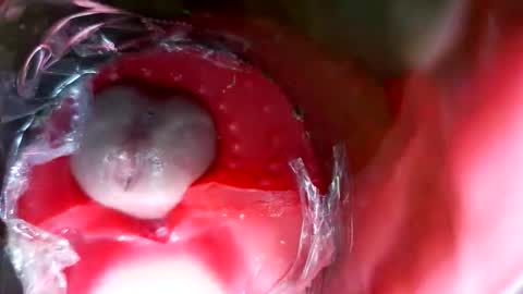 Snapshot of bigmoneycorey chatting on 12, 3, 2026 bigmoneycorey online show from 12, 3, 2026