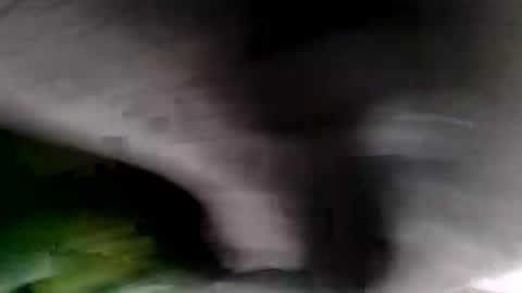 bignastyfilthy online show from 19, 1, 2026