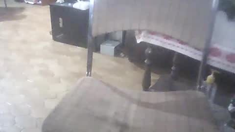 bigpenix online show from 1, 4, 2026