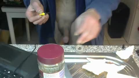 ...... online show from 22, 1, 2025