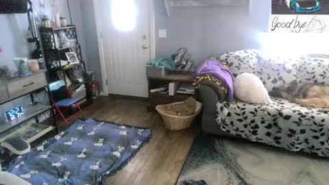 Snapshot of bigskittles4you chatting on 24, 2, 2026 Skittles online show from 24, 2, 2026