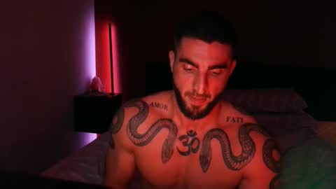 Gogo online show from 3, 11, 2025