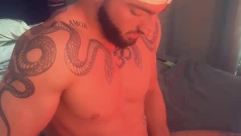 Gogo online show from 26, 11, 2025