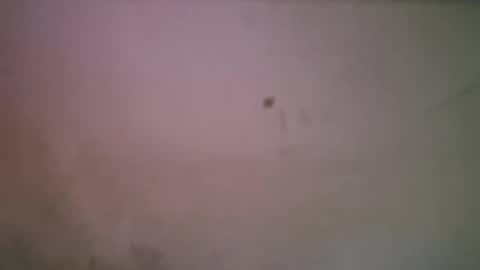 Snapshot of bigsssnake69 chatting on 21, 4, 2026 bigsssnake69 online show from 21, 4, 2026