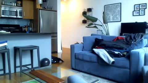 Bigtreatofc online show from 25, 5, 2026