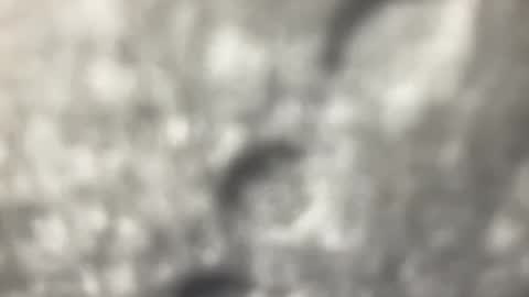 Snapshot of biguywithtoys chatting on 22, 12, 2024 biguywithtoys online show from 22, 12, 2024