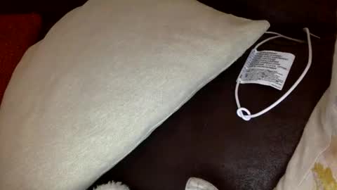 Snapshot of bigvic25cm chatting on 28, 11, 2025 bigvic25cm online show from 28, 11, 2025