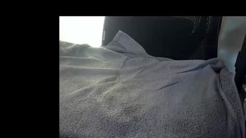 Snapshot of bislider chatting on 12, 11, 2025 bislider online show from 12, 11, 2025