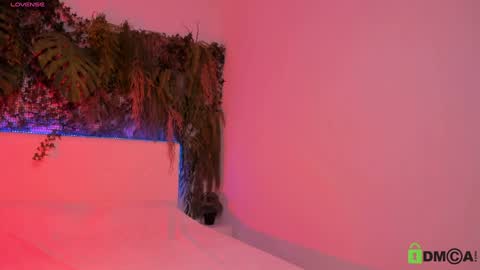 Snapshot of black_jenny chatting on 12, 12, 2024 Jenny online show from 12, 12, 2024