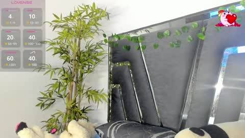 B L A C K  R O S E  online show from 7, 2, 2025