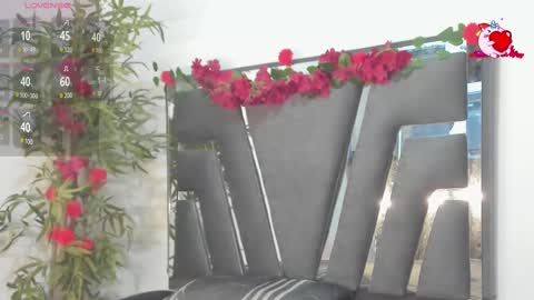 B L A C K  R O S E  online show from 27, 2, 2025