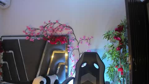 B L A C K  R O S E  online show from 9, 11, 2025