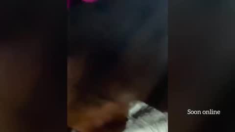 Lilly and Bryson online show from 3, 12, 2025