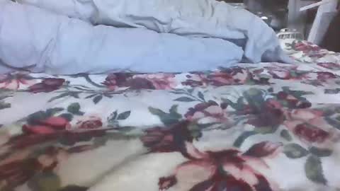 blame1269 online show from 27, 10, 2025