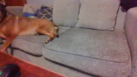 blaw_1321 online show from 23, 11, 2025