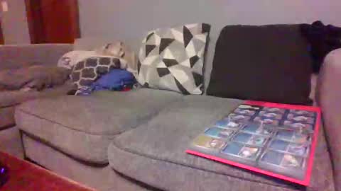 blaw_1321 online show from 27, 2, 2026