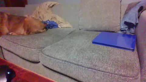 blaw_1321 online show from 19, 4, 2026