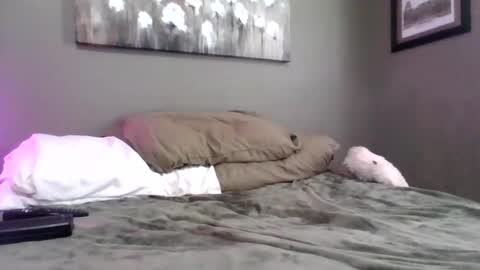 blazeentertainment2025 online show from 21, 2, 2026