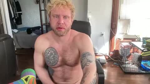 blondebluebear online show from 20, 4, 2026