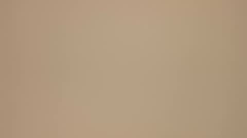 Blondie gin online show from 21, 2, 2025