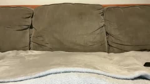 Snapshot of blondiedicks1 chatting on 16, 9, 2025 blondiedicks1 online show from 16, 9, 2025