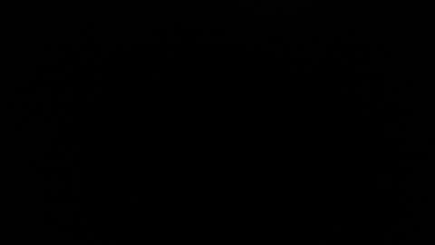 bunbury online show from 13, 10, 2025