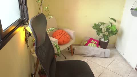 FLORAA online show from 11, 1, 2025