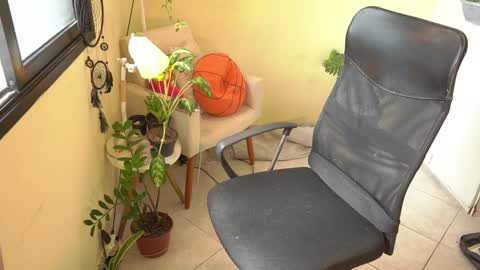 FLORAA online show from 15, 1, 2025