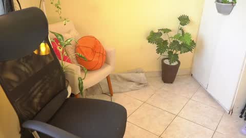 FLORAA online show from 23, 1, 2025