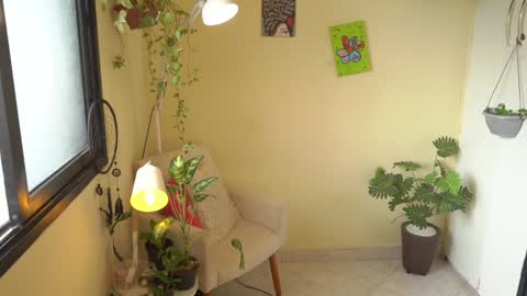 FLORAA online show from 26, 1, 2025