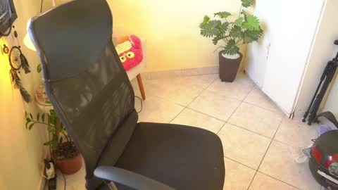 FLORAA online show from 13, 2, 2025