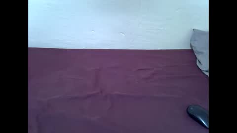 Bunny online show from 7, 2, 2026