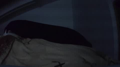 bo22222222 online show from 10, 3, 2026