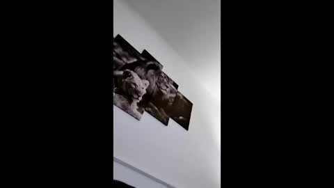 bobby160968 online show from 8, 1, 2026