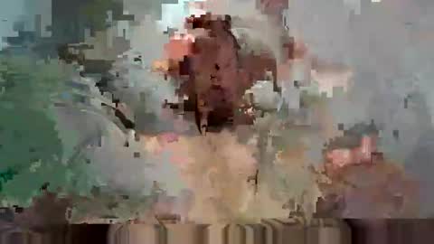 Bodyart85 19 online show from 2, 12, 2024