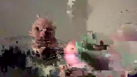 Bodyart85 19 online show from 4, 12, 2024