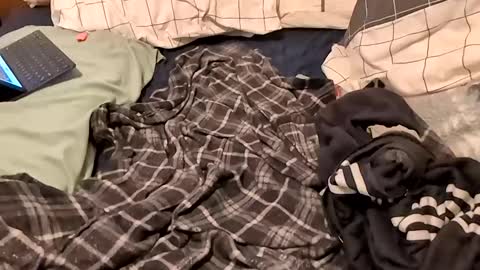 Snapshot of boiwithpussy chatting on 16, 2, 2025 boiwithpussy online show from 16, 2, 2025